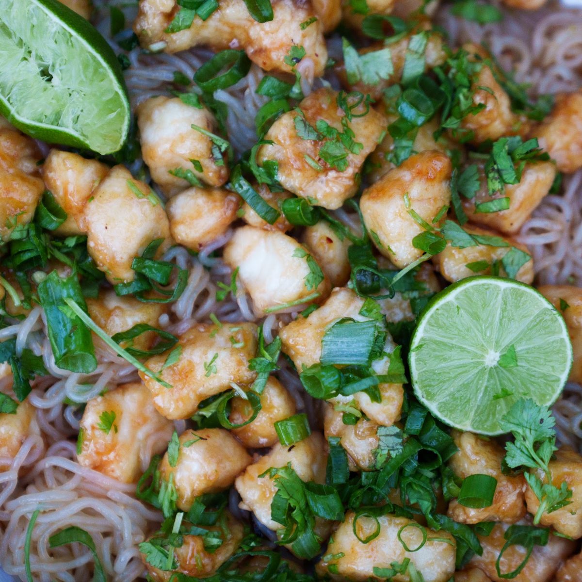 Sweet 'n' Sour Fish with Noodles cooked on a COBB Grill