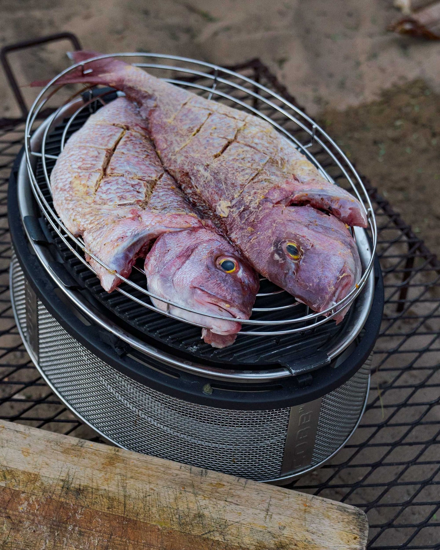Whole snapper on the COBB Grill Supreme portable BBQ new zealand